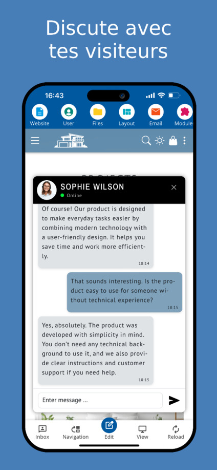 Chat en direct avec les visiteurs du site – Vue mobile